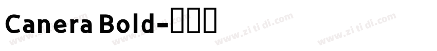 Canera Bold字体转换